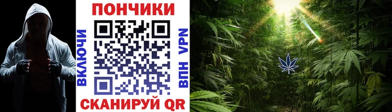 купить наркотик  Кстово  Канабис SATIVA & INDICA 